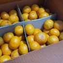 주현농장 이미지