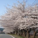 연상1리마을회관 이미지
