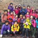 하빈농업협동조합 이미지