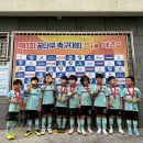 2024 10월19일 제1회 꿈나무 축구대회 in 제주 이미지