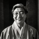 뿌리깊은 나무 이미지