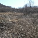 정말농장 이미지