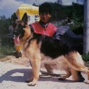 월드켄넬 이미지