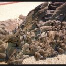 부천수석박물관 이미지