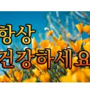 성수보쌈 이미지