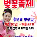 경주벚꽃축제 일정 공지합니다 이미지