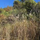 산속에아침 | 🌲 제천경찰수련원 후기 — 산속에서 오랜만의 ‘같이’