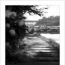 광도면사무소 이미지