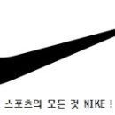나이키브이플러스