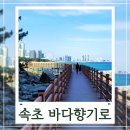 바다향기로 | 속초 바다향기로 애견동반 외옹치 반려견 산책 솔직후기