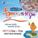 영덕 물가자미 축제 네이버블로그