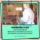 페스콤방역 이미지