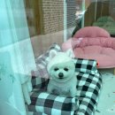 몽숲 이미지