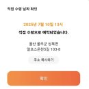 2025 영남알프스 완등 인증 은화 메달 수령 후기