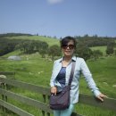 영철목장 이미지