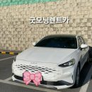 굿모닝카서비스 이미지