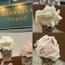 정자역 카페 추천 분당디저트맛집 마망젤라또 주차 재방문후기