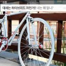 알톤자전거수완점