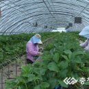 충청냉난방센타 이미지