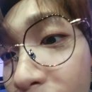 히얼퍼피 이미지