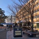 영등포구 영등포구보건소 티스토리
