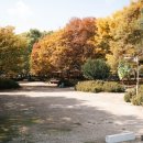 점곡초등학교 화장실 이미지