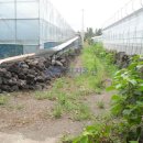 남원읍-41 이미지