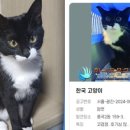키워주시개 네이버블로그