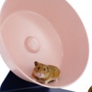 펫 유토피아 이미지