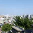 자연탐