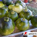 실로암농장 이미지