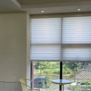 애견카페 애견유치원 펫레터 이미지