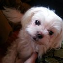 기양죽 어린이공원 이미지