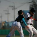 배나물야구장 이미지