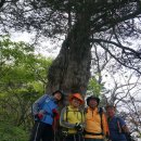 매봉농장 이미지