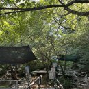 금정의 메아리 이미지