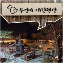 부엉이애견펜션 네이버블로그