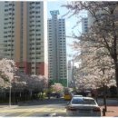 동네컴퓨터 이미지