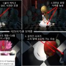 한국pet