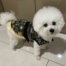 헤어바이호시
