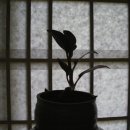 박덕용 네이버블로그