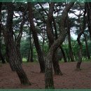 대전한의원 이미지