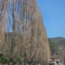 부리면사무소 이미지