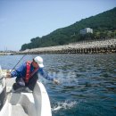 거제기상관측소 이미지