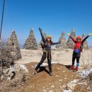 늑대와 여우 이미지