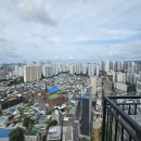 신길약국