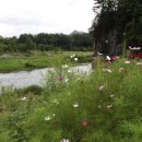 덕산기에서 이미지