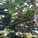 한누리 행정사사무소 이미지