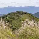장수종합경기장 이미지