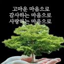 효령로 59-7 이미지